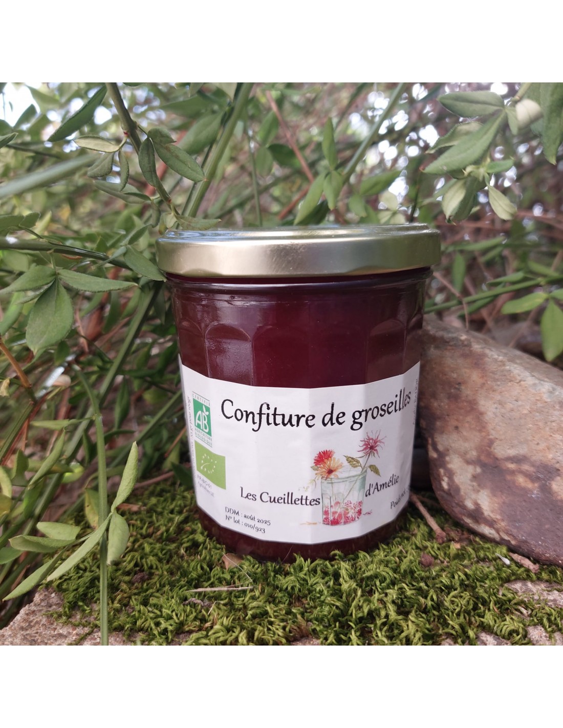 Confiture De Groseilles Bio