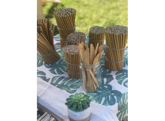 lot de 20 pailles longues en bambou