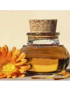 liquide vaisselle concentré au calendula bio 2