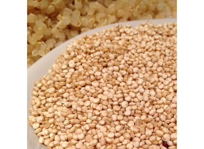 quinoa d'Anjou Bio