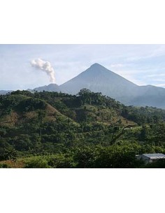 café du Guatemala - en grain ou moulu 2