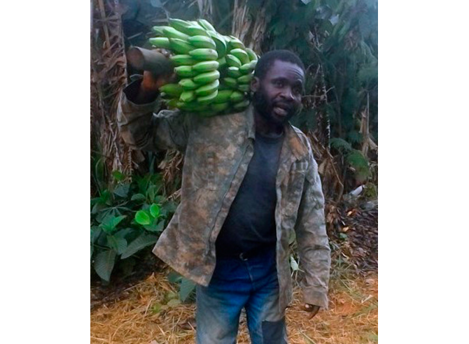 banane séchée du Cameroun - Bio & Equitable
