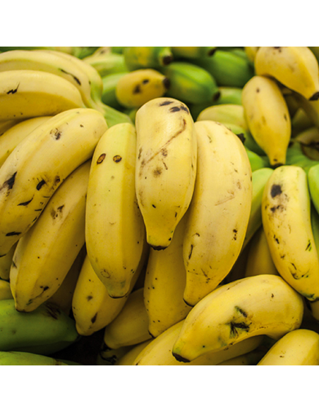 Banane Gros Michel séchée entière bio et équitable du Cameroun