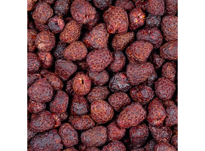 fruits rouges des bois séchés - Bio