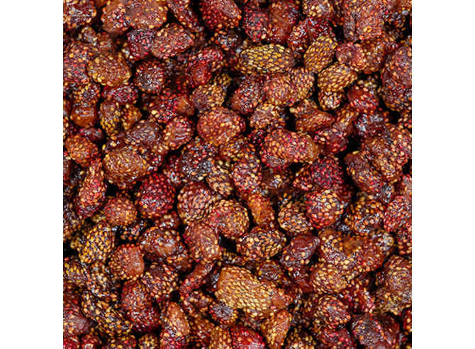fruits rouges des bois séchés - Bio