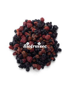 fruits rouges des bois séchés 2