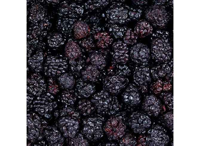 fruits rouges des bois séchés - Bio