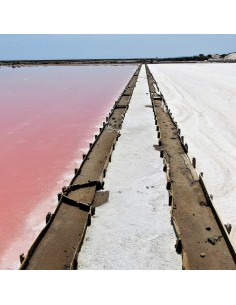Sel fin de Gruissan 2