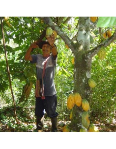 chocolat au lait en palets - Pur origine, Bio & Equitable 2