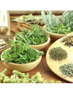 herbes de Provence Bio