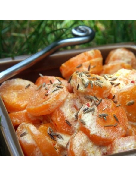 grains de cumin - Bio grains de cumin - Bio