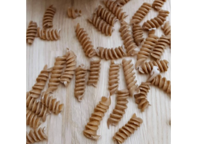 Torsettes de petit épeautre Bio