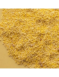 millet décortiqué de Charente - 250 g