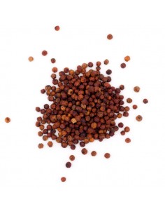 poivre rouge de Kampot IGP - Bio & Equitable - 30 g