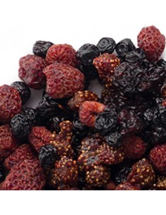 fruits rouges des bois séchés