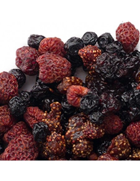fruits rouges des bois séchés fruits rouges des bois séchés