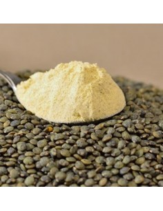 farine de lentilles vertes Bio