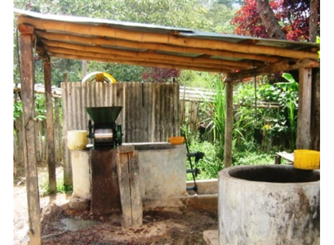 café du Pérou - en grain ou moulu