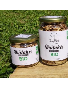 champignons séchés bio - shiitakés