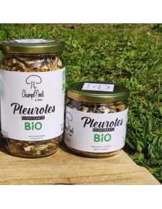 champignons séchés bio - pleurotes