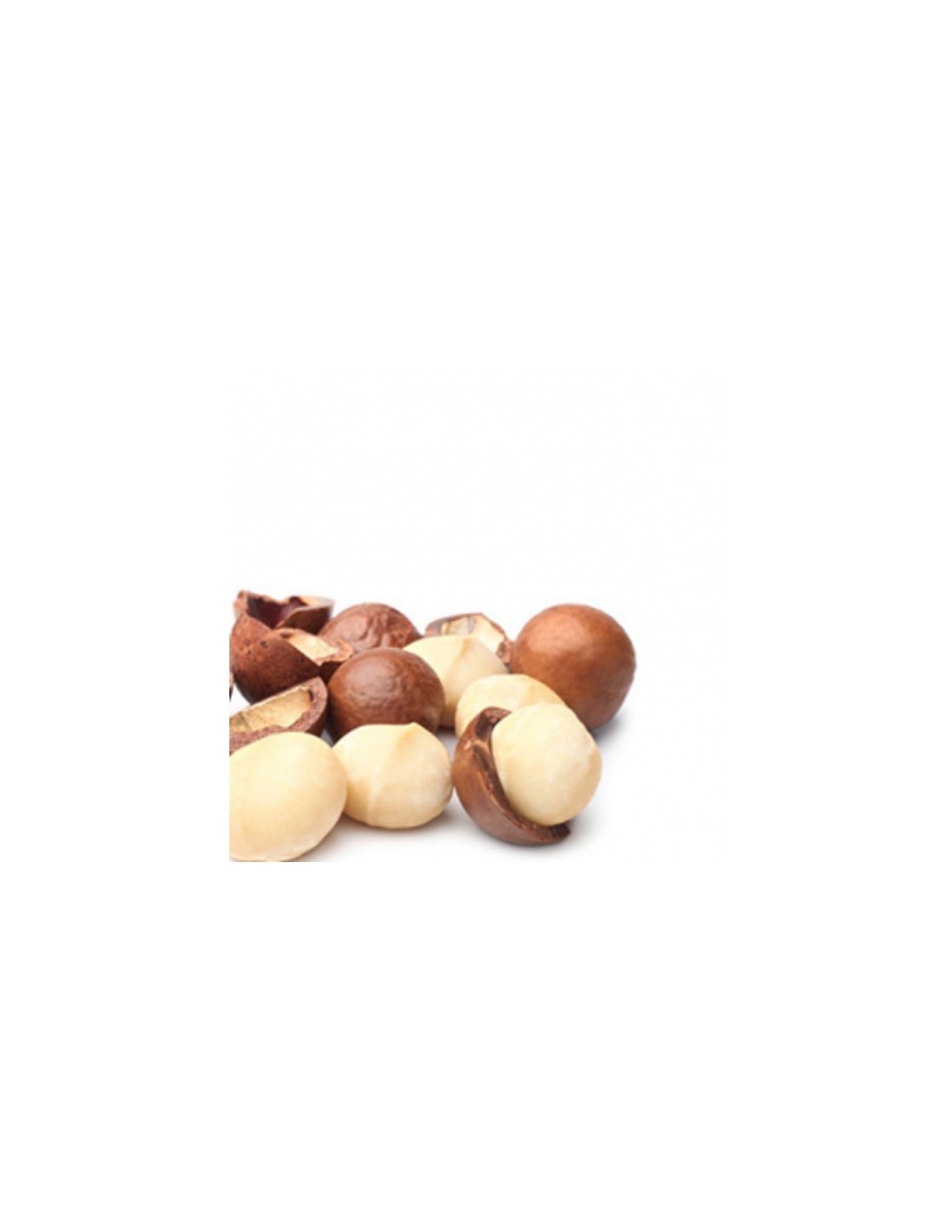 noix de macadamia bio du Kenya de haute qualité Keimling qualité crue