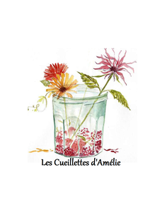 coulis de fraise bio de pleine terre agriculture paysanne 2