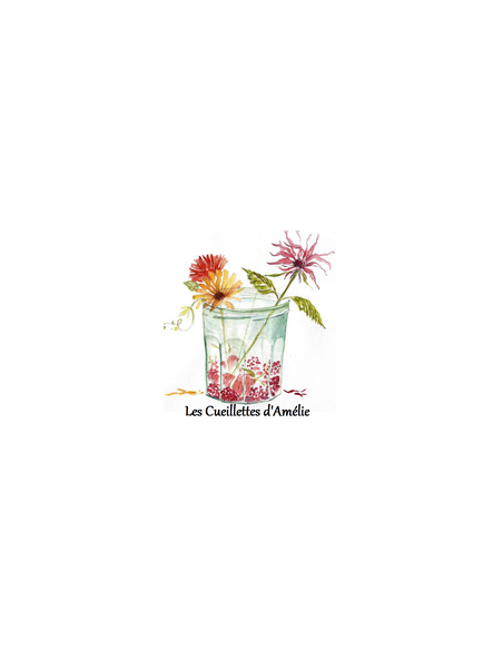 confiture bio de pleine terre agriculture paysanne confiture bio de pleine terre agriculture paysanne