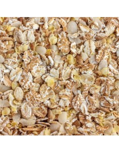 Flocons 5 céréales complètes Bio - 250 g