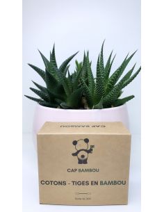 boîtes de 200 cotons-tiges