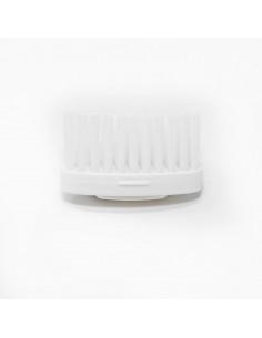 Têtes pour brosse à dent "La Maline"