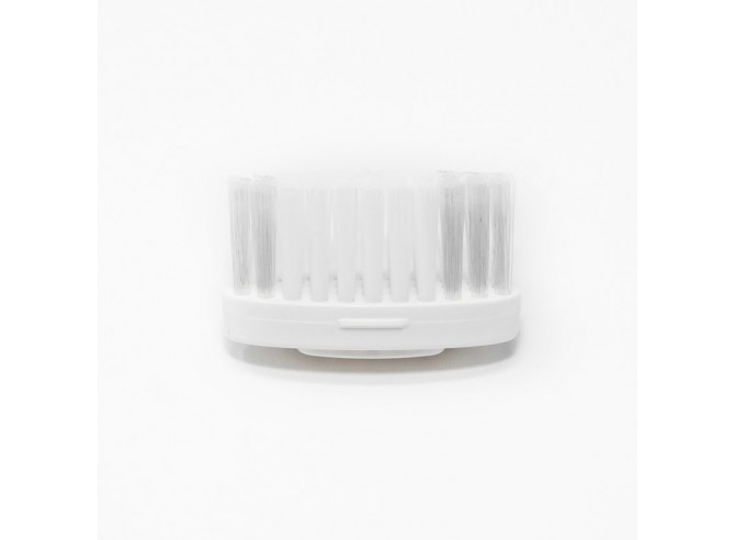 Têtes pour brosse à dent "La Maline"