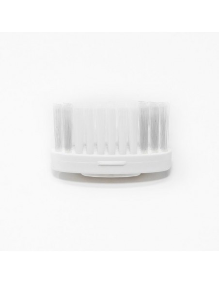 Têtes pour brosse à dent "La Maline" Têtes pour brosse à dent "La Maline"