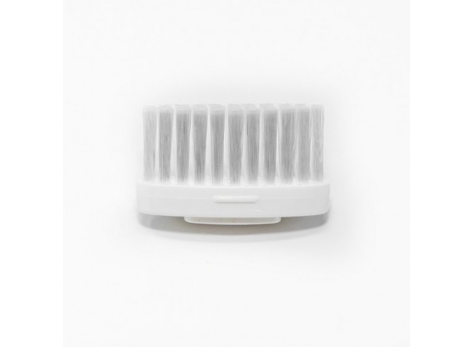 Têtes pour brosse à dent "La Maline"